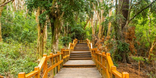 28711801877_2365e27829_o