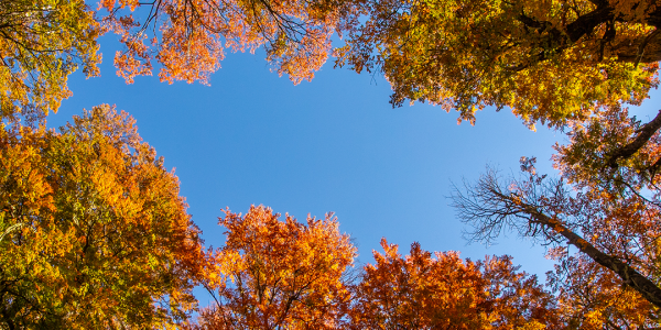 49966615673_61f8267ef0_o